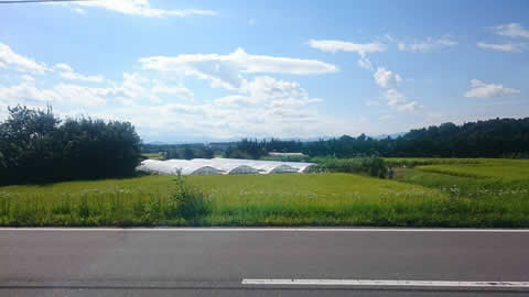 団子山古墳からの眺め