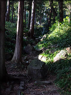 一夜城跡への山道