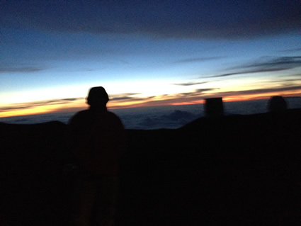 トロピカル・カクテル