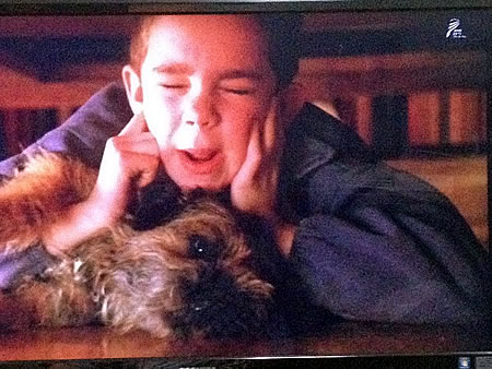 「マイ・ライフ・アズ・ア・ドッグ」(1985年 スウェーデン映画)