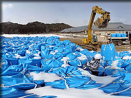 校庭の除染作業