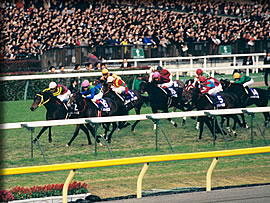 ジャパンカップ