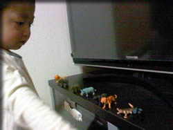 動物たちを・・