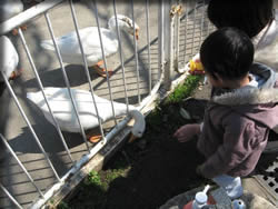 えさやりを・・