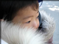 動物たちを・・