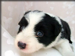 再びイメージ・・