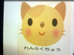 たぶんネコ・・