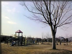 公園デビュー♪