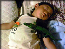 ワニとご就寝・・