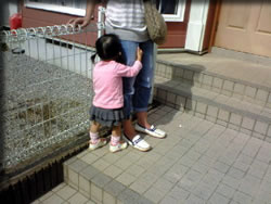 お友だちののんちゃん