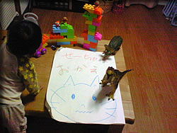 あ、婆さまの作品!