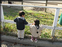 動物園にて