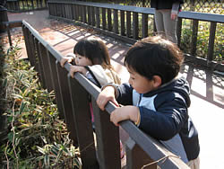 動物園にて