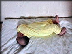 壁を見つめる日々