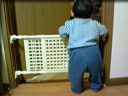 何とかしろよー!