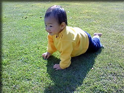 さいあがりの・・