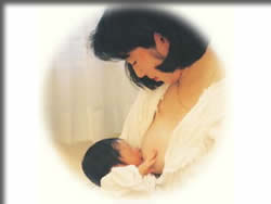 いえ、イメージですが