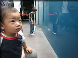 すごいすごい・・