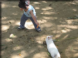 さあ、食え・・