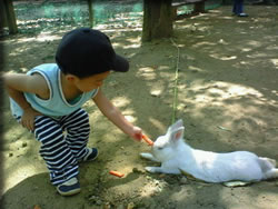 びみょーに・・