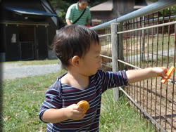元気な時の息子様