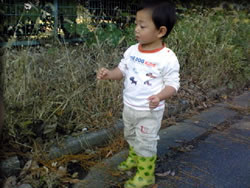 田んぼのおじさん