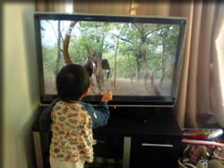 ぞーたん、どーじょ。