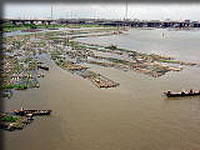 ラグーンを運ばれてきた材木