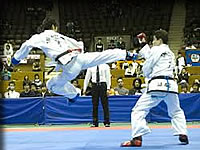 参考画像：テコンドーの試合