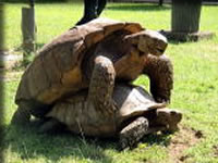 ラゴスのビーチにて