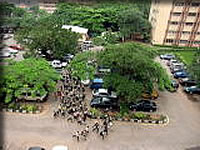 保健省前の学生たち