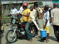 イスラムのお祭り用の羊