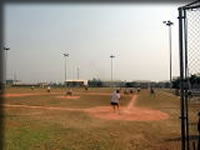 珍しくヒットを打つeditor