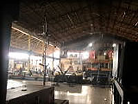 アフリカン・ニューシュライン