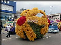 装飾された車の数々