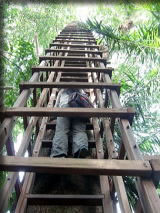 梯子を登っているところ