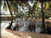 まさにラゴスのオアシス