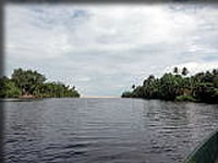 カヌーからの眺め