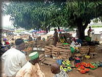 野菜のマーケット