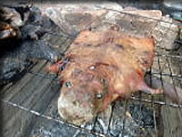 これは・・・？