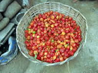 ラゴスのマーケットにて