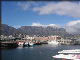 テーブルマウンテン