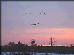 チェーンメール