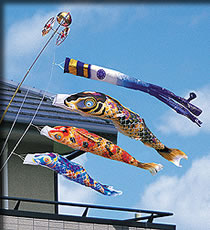 アパート用鯉のぼり