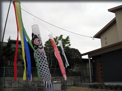 大きなこいのぼり