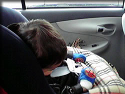 寝てしまった・・