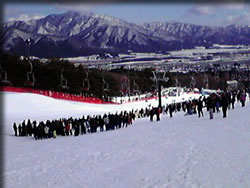 スキークロス観戦中