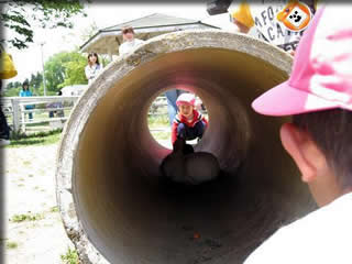 シンケンジャー