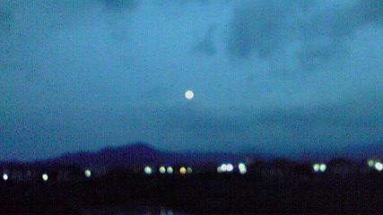 ランニングの途中で撮影