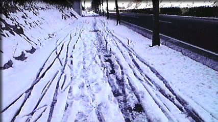 ランニング・コース